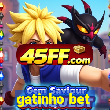 gatinho bet